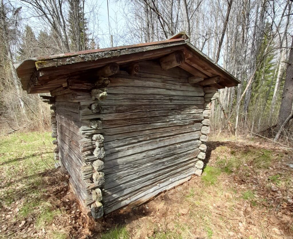 Vanha, harmaantunut pieni hirsiaitta, ympärillä nurmikkoa ja taustalla lehdettömiä puita.