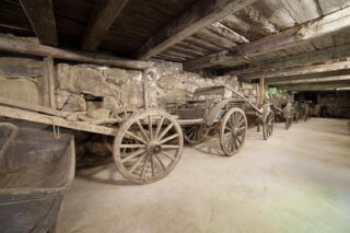 Päheet museot –viikolla luvassa eläimellistä menoa museoissa!